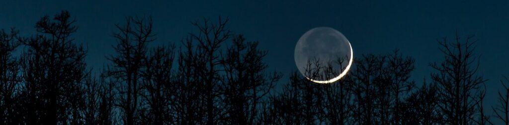 photo of crescent moon over trees at night
