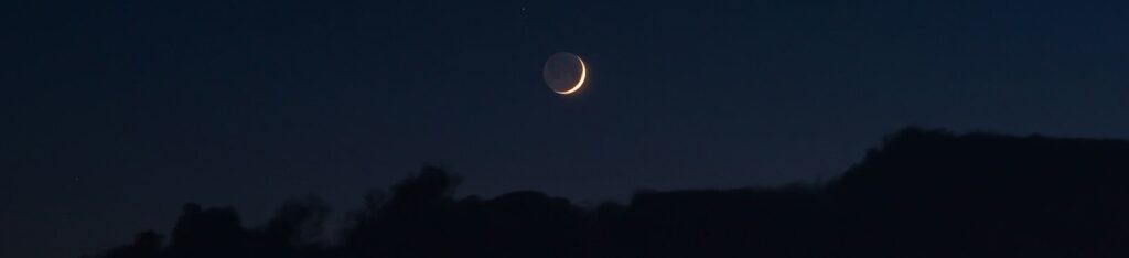 silhouette of trees during night time