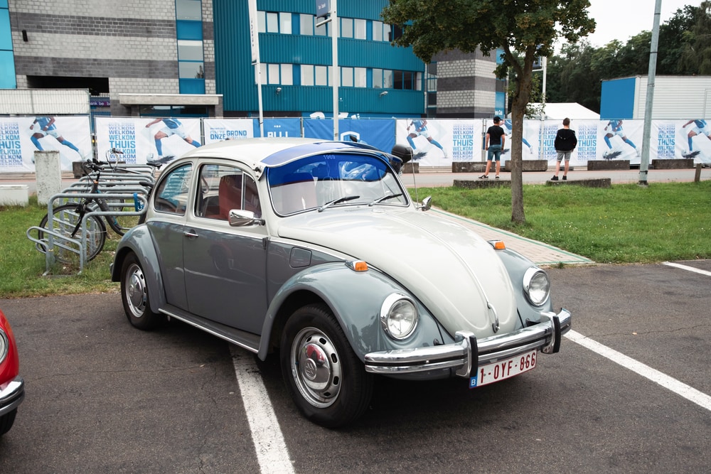 Volkswagen Brouk