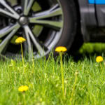 jak připravit auto na jaro