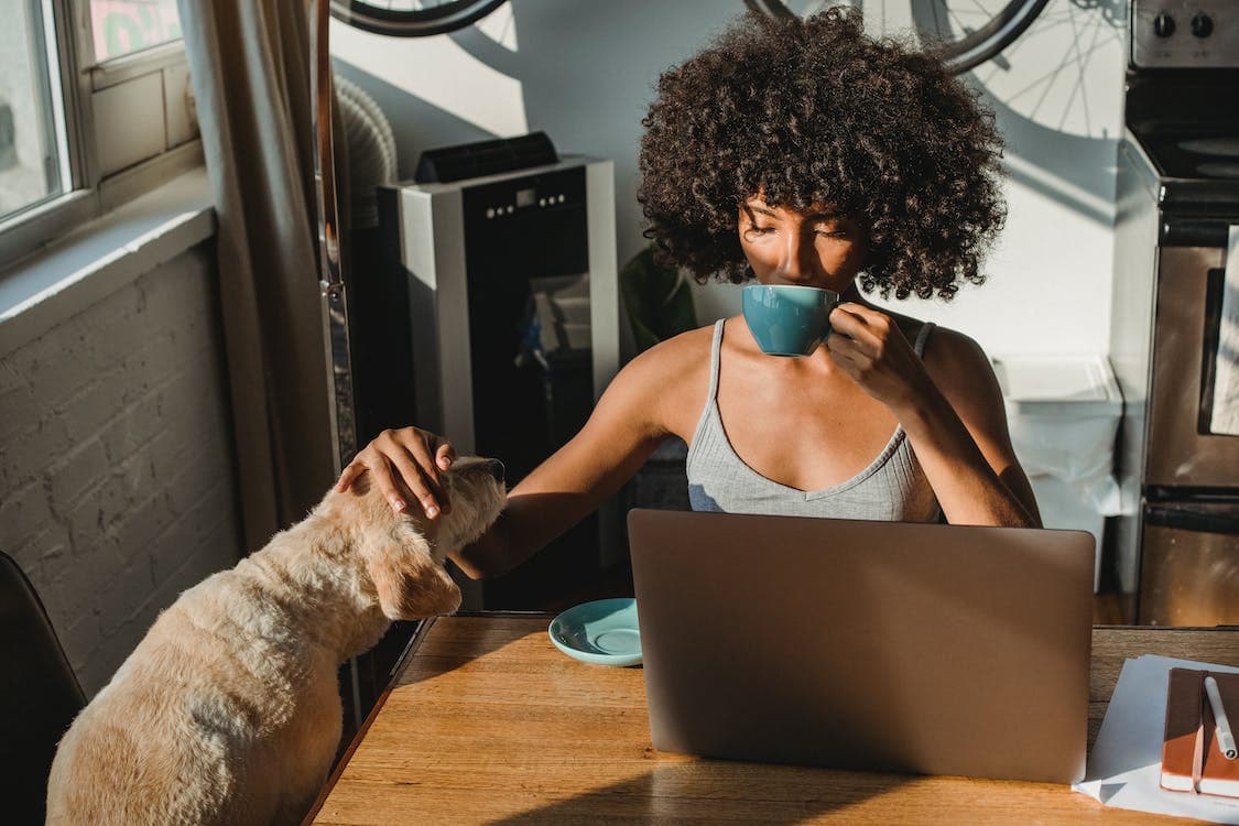 Smart-Home-Voice-Control-Features-1 A woman uses smart home voice control features in front of a laptop while drinking coffee and petting a small dog. The room is full of sunshine and neutral colors.