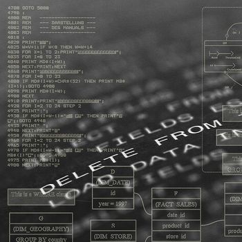 Die European Vulnerability Database (EUVD) ist online