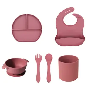 Set de Alimentación Silicona Palo Rosa