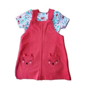 Jardinera vestido + polera