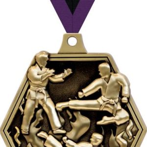 2 1/4" Masters Martial Arts Medals
