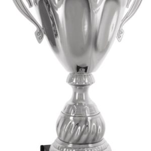 Silver Masters Cup Trophies