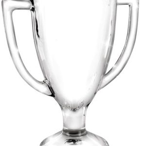 Winner Glass Trophy