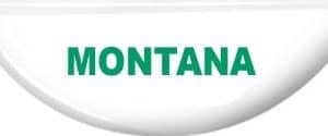 4-H Montana
