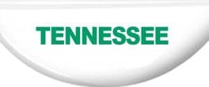 4-H Tennessee