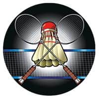 Badminton Mylar