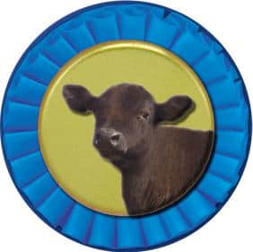 Steer Mylar