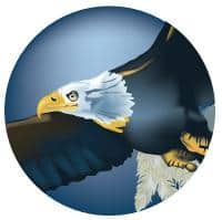 Eagle Mylar