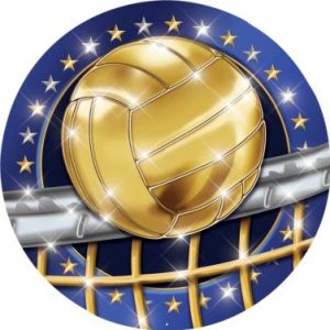 Volleyball Cobalt Mylar