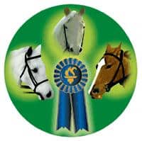 Horse Mylar