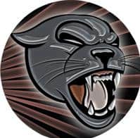 Mascot Panther Mylar