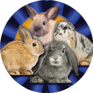 Rabbits Blue Rosette Mylar