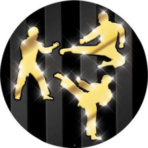 Martial Arts Shadow Mylar