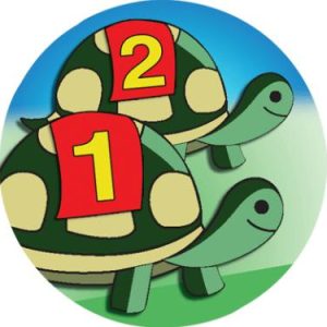 Turtle Racing Mylar