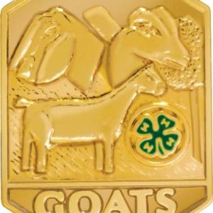 4-H Goats Insert