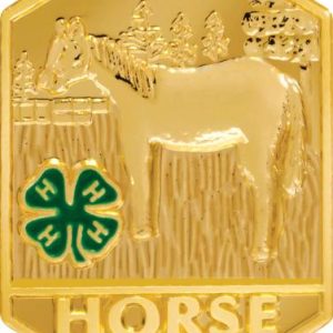 4-H Horse Insert