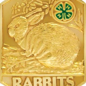4-H Rabbits Insert