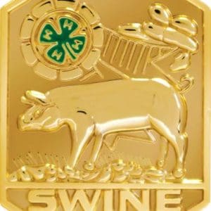 4-H Swine Insert