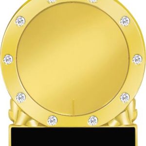 Engravable Insert Pin