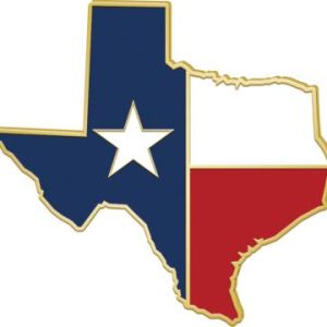 Texas State Flag Pin