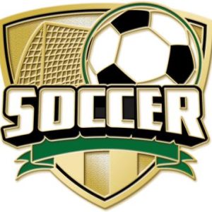 Soccer Turf Pin
