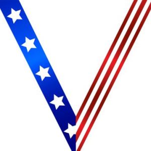 Star Spangled Sateen Neck Ribbon