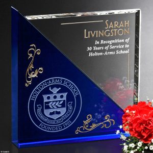 17 in Silver Premium Cup