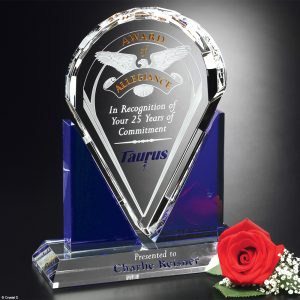 Star Lucite Award