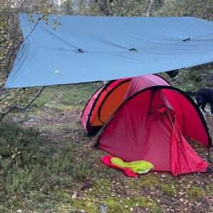 Tarp over telt