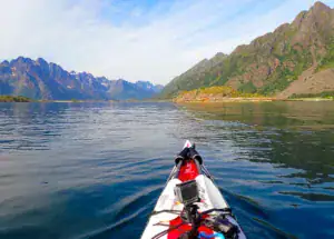Kajaktur i Lofotens spektakulære natur – roligt vand, grønne fjelde og klipper