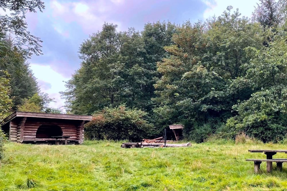 Billede af en naturnær plads med shelter, bålsted, omgivet af grøn skov.