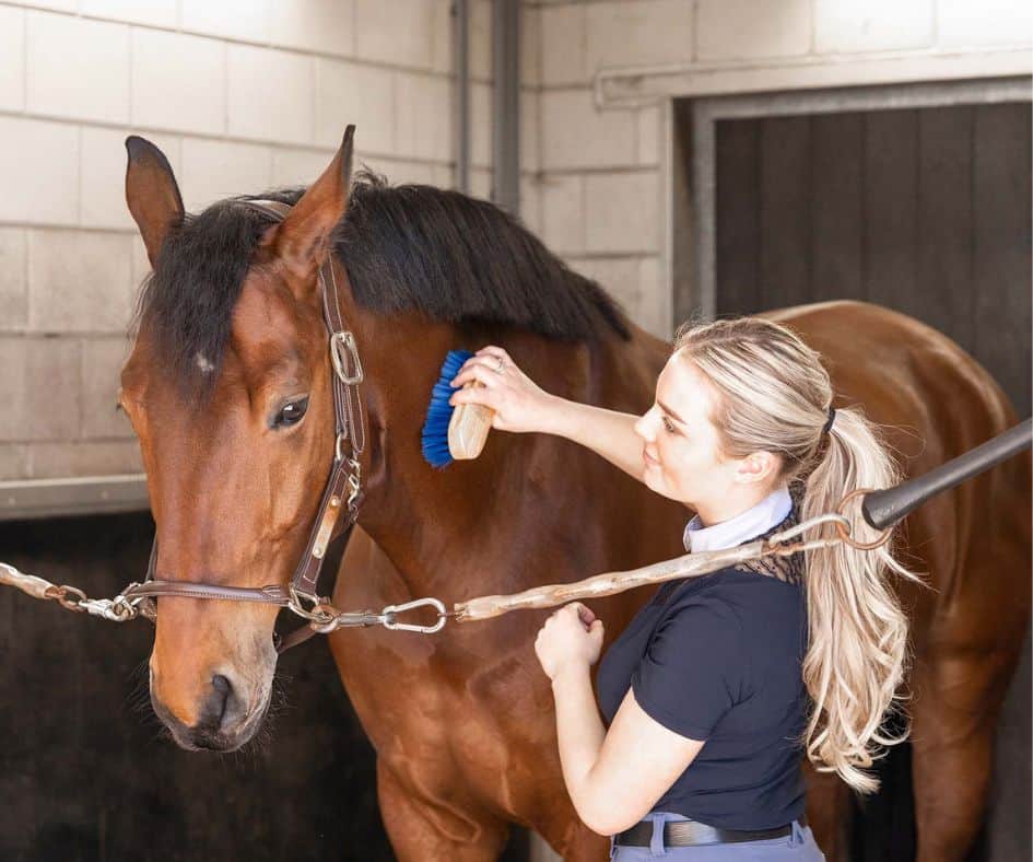 amazone poetst paard
