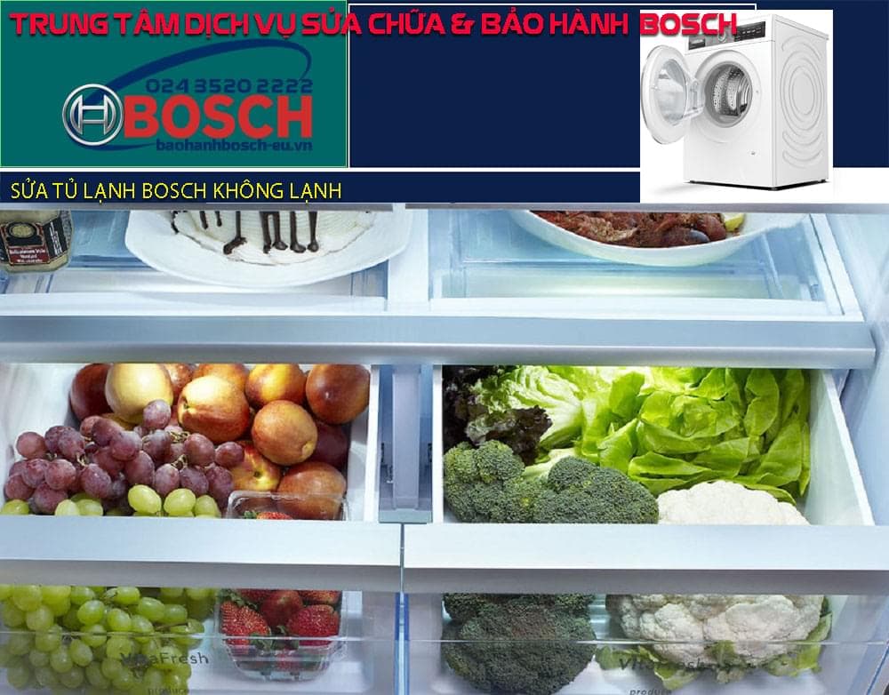tủ lạnh Bosch không lạnh