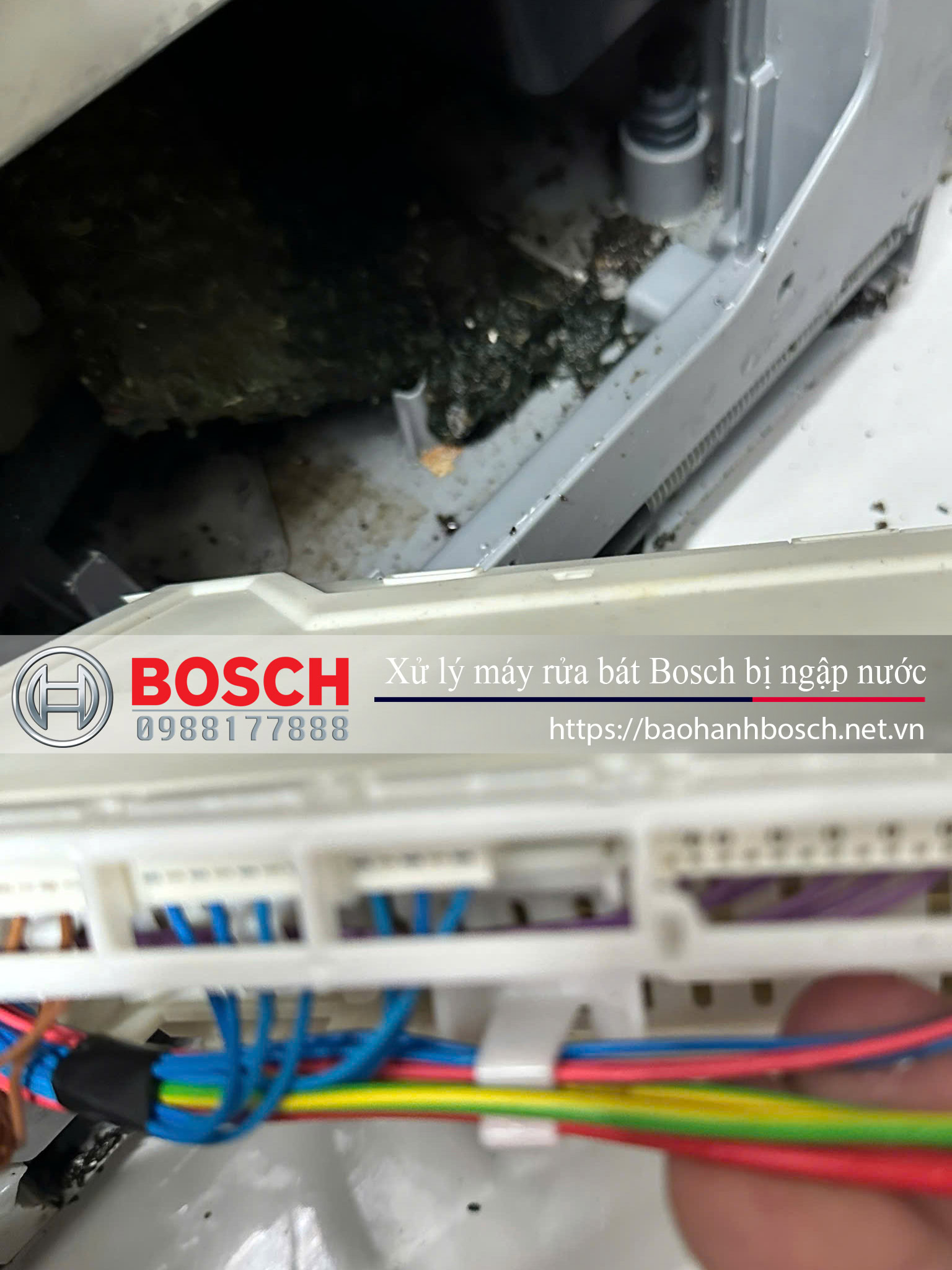 Rò rỉ nước máy rửa bát Bosch, xử lý lỗi ngập nước trong máy rửa chén Bosch, dịch vụ bảo hành và sửa chữa máy rửa bát Bosch bị tràn nước, kỹ thuật viên Bosch xử lý sự cố rò rỉ nước.