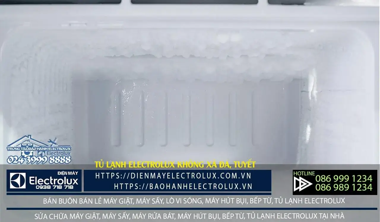 High-quality Electrolux refrigerator interior showcasing clean cooling compartments, emphasizing reliable LG warranty and repair services for Electrolux appliances in Vietnam.