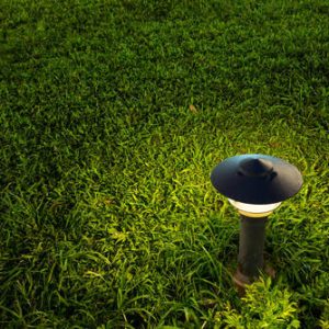 Solar garden light illuminating lush green grass at Bayton Horticulture Centre.