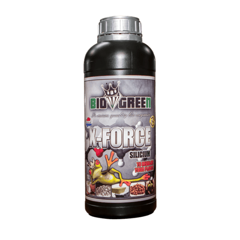 BioGreen X-Force Silicium plant supplement for healthy garden growth.