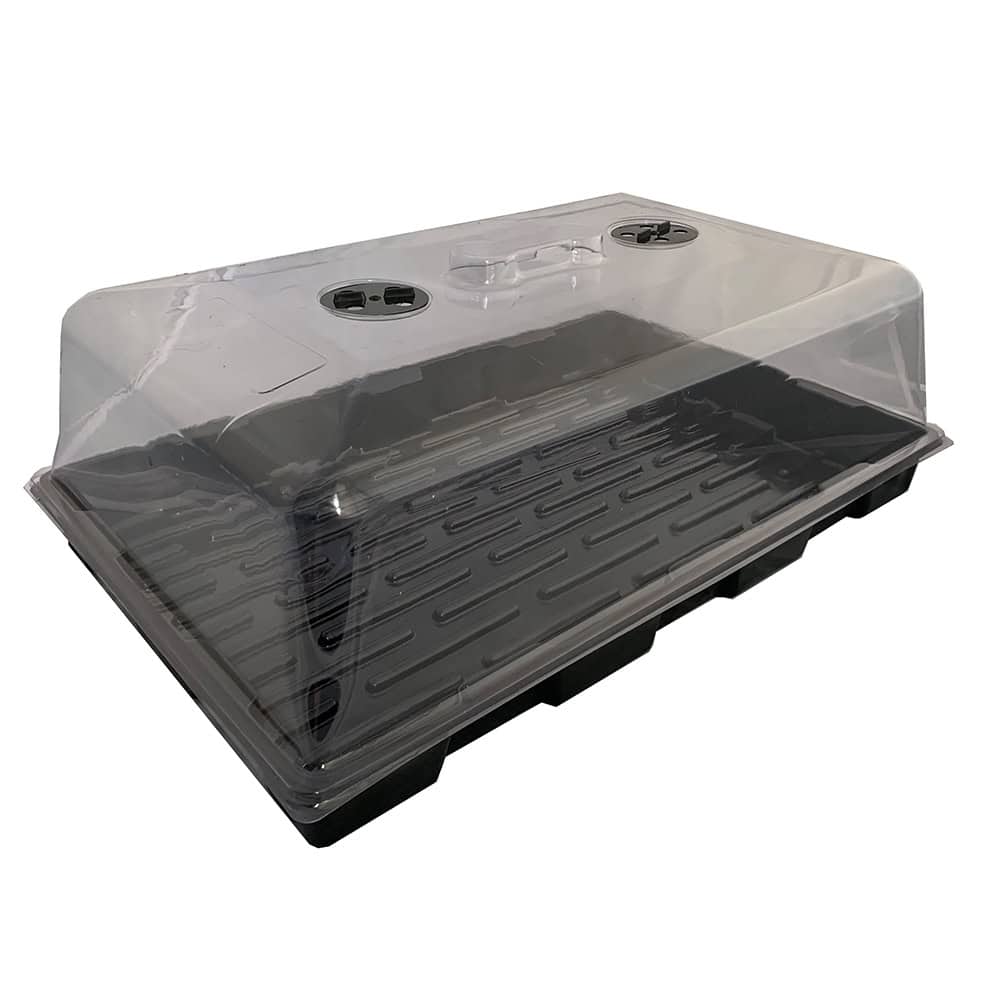 Mini greenhouse propagator with transparent lid for seed starting and plant propagation | Bayton Horticulture Centre.