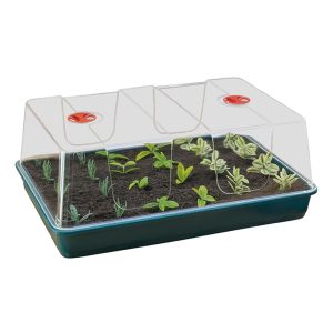 Sprouting seedling greenhouse for horticulture education and gardening.