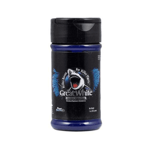 Blue bottle of Great White Killer Bee Repellent from Bayton Horticulture Centre Great White Killer Bee Repellent essential for protecting your garden from bees Protect your garden with Great White Killer Bee Repellent, a must-have product available at Bayton Horticulture Centre A high-quality blue bottle of Great White killer bee repellent designed for garden and outdoor use, available at Bayton Horticulture Centre Relevant.