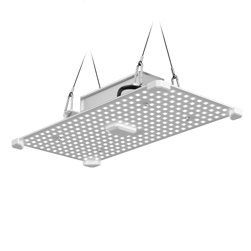 High-efficiency LED grow light for horticulture and gardening at Bayton Horticulture Centre.