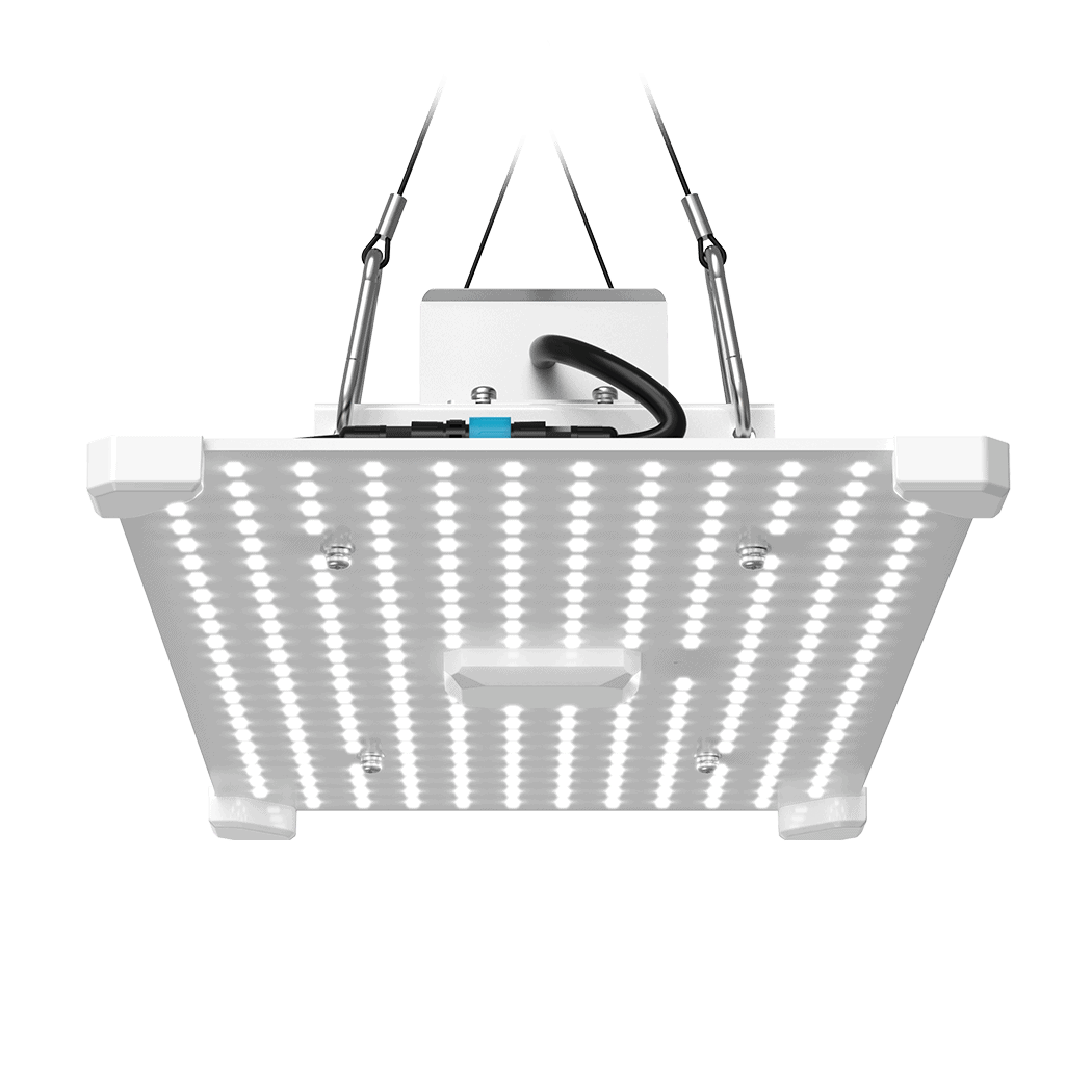 Grow light LED grow light for optimal plant growth at Bayton Horticulture Centre.