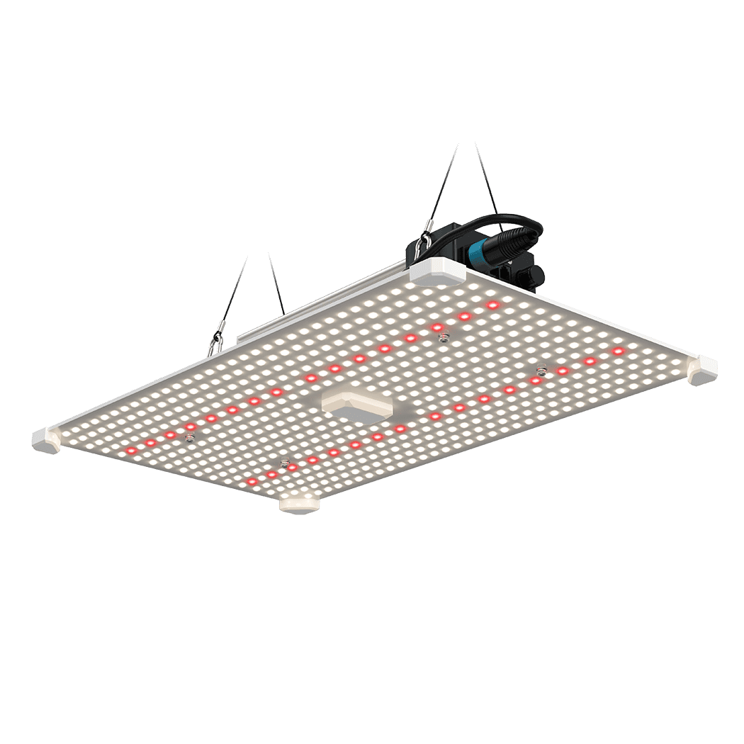 LED grow light for horticulture and plant optimisation at Bayton Horticulture Centre.