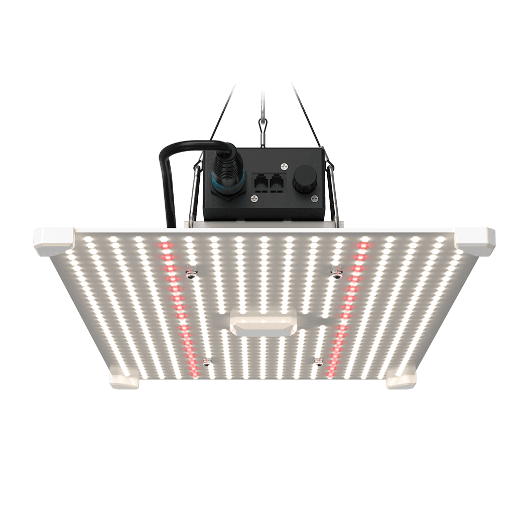 Grow light panel for indoor gardening and horticulture at Bayton Horticulture Centre.