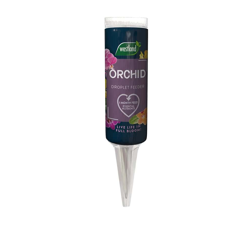 Westland Orchid droplet feeder for healthy orchid blooms, perfect for indoor plant care.