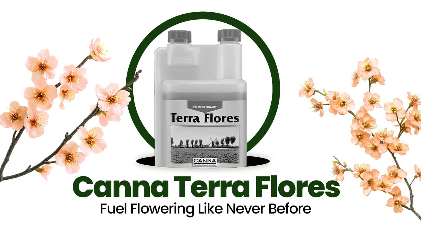 Genuine Terra Flores fertiliser for vibrant flowering plants at Bayton Horticulture Centre.
